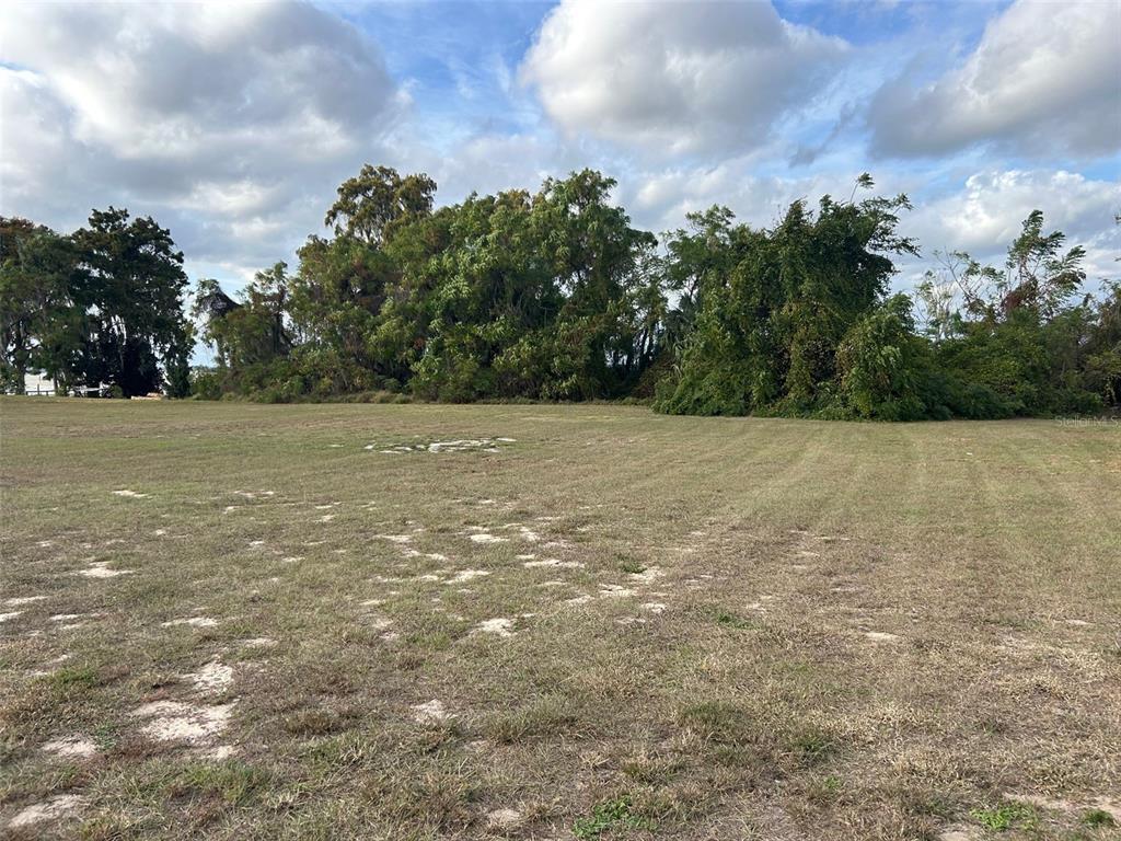 A large, flat, grassy vacant lot is bordered by a line of mature trees — WATERVIEW DRIVE, LEESBURG, FL