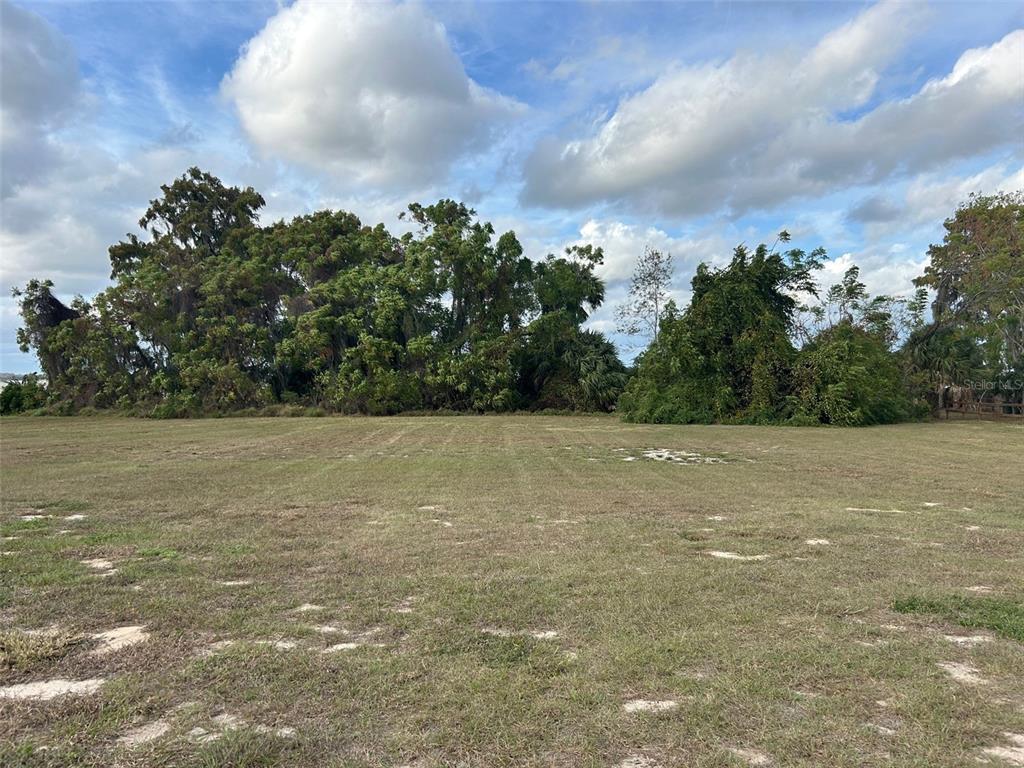 A wide, grassy, vacant lot features a dense line of trees in the background — WATERVIEW DRIVE, LEESBURG, FL