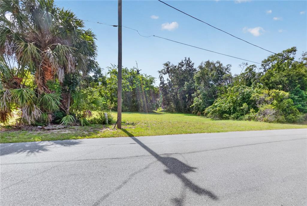 A grassy, vacant lot sits alongside a paved road with a utility pole and trees — 4540 S SAWGRASS CIRCLE, HOMOSASSA, FL