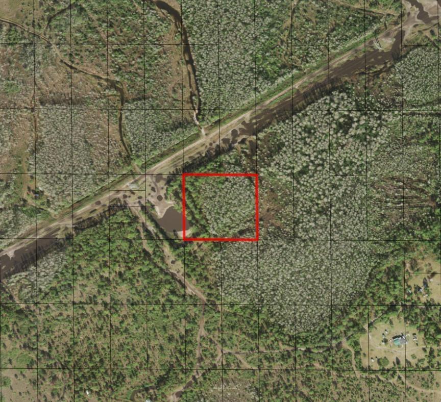 This is an aerial map view of a wooded parcel highlighted by a red square — 0 Holopaw Groves Road, FL 34772, FL