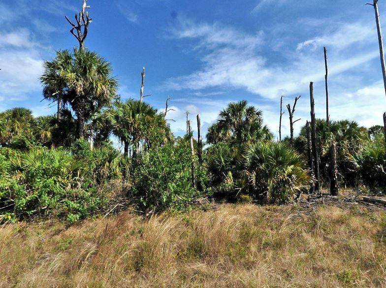 FARVIEW DRIVE, NORTH PORT, FL — photo 2 of 6