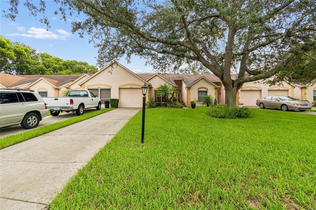 A single-story residential building with a concrete driveway, a large tree, and parked vehicles — 11512 VERSAILLES LANE UNIT 11512, PORT RICHEY, FL