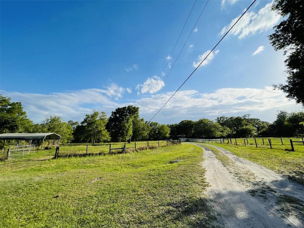A dirt driveway curves through a grassy field bordered by a wooden fence and trees — 6810 PEARSON LANE, WESLEY CHAPEL, FL