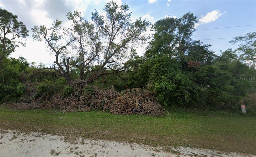A vacant, wooded lot with dense vegetation and several large trees along a dirt road — NE 3RD AVENUE, OKEECHOBEE, FL