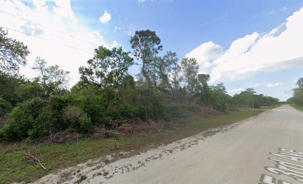 A dirt road runs alongside a vacant, heavily wooded lot under a cloudy sky — NE 3RD AVENUE, OKEECHOBEE, FL