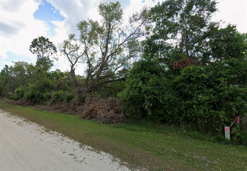 A dirt road runs alongside a wooded lot with dense trees and brush — NE 3RD AVENUE, OKEECHOBEE, FL