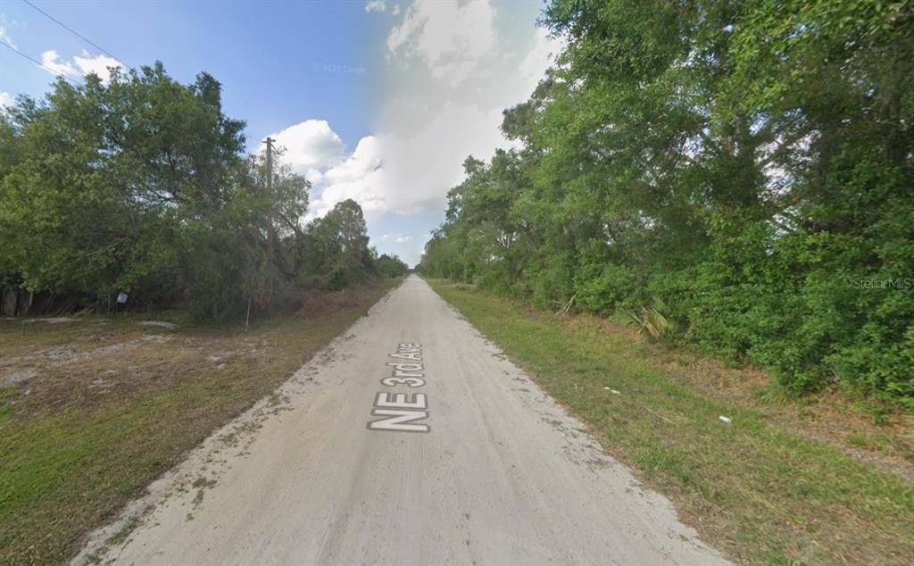A dirt road stretches into the distance, flanked by dense trees and vegetation — NE 3RD AVENUE, OKEECHOBEE, FL