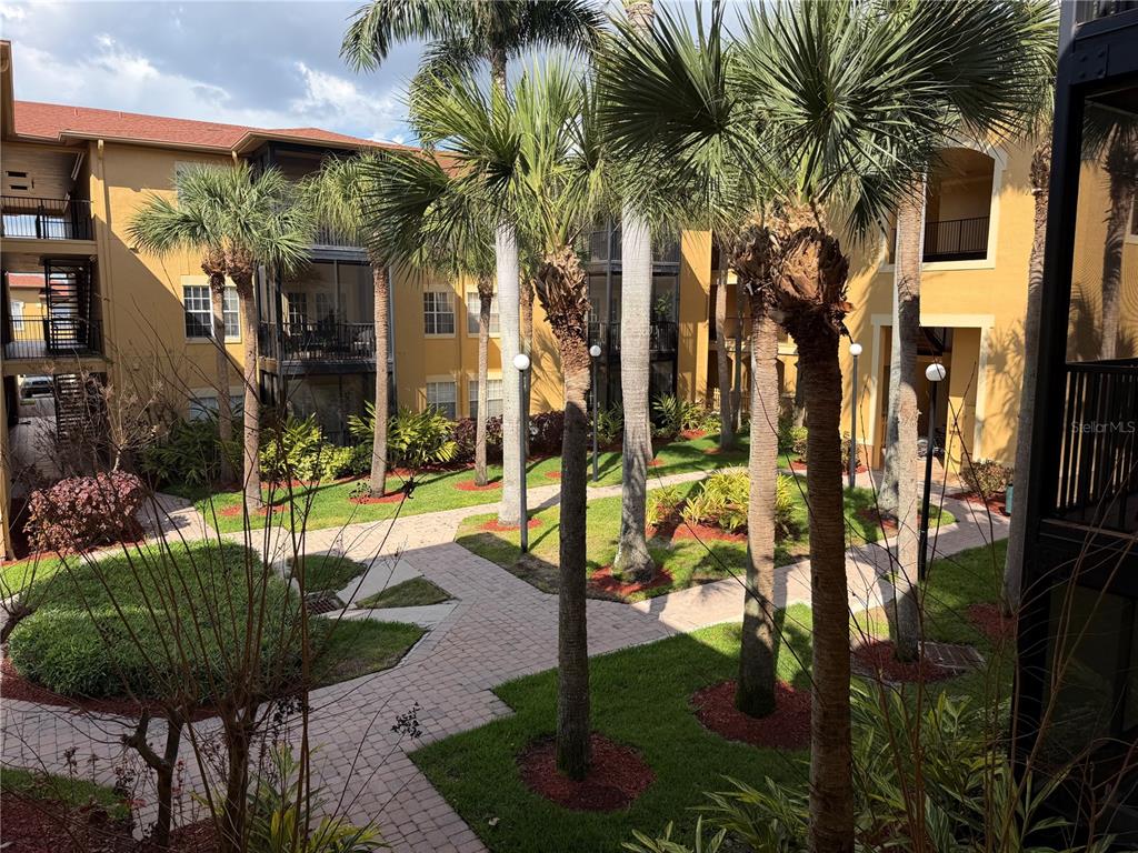 An elevated view of a landscaped courtyard with palm trees and paved walkways between apartment buildings — 4333 BAYSIDE VILLAGE DRIVE UNIT 229, TAMPA, FL