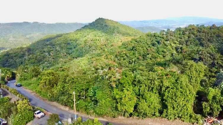 An aerial view shows a paved road winding past a lush, forested hillside — ROAD 785 KM.HM 4 BARRIO CAGUITAS, AGUAS BUENAS, PR