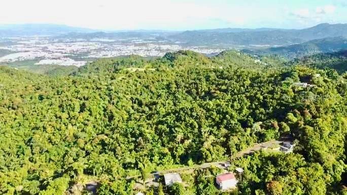 An aerial view of a lush, forested hillside with scattered houses and a distant town — ROAD 785 KM.HM 4 BARRIO CAGUITAS, AGUAS BUENAS, PR