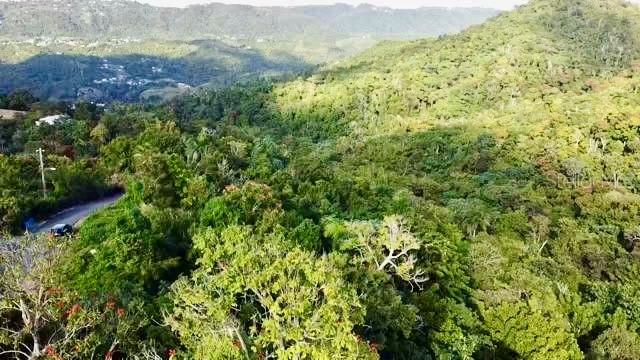 An aerial view shows a lush, forested mountain landscape with a road winding through trees — ROAD 785 KM.HM 4 BARRIO CAGUITAS, AGUAS BUENAS, PR