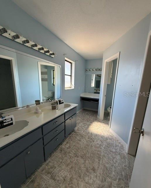A bathroom features a long vanity with dark cabinets, a large mirror, and light-blue walls — 465 E SEMINOLE DRIVE, VENICE, FL