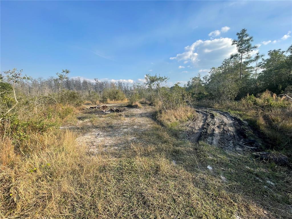 An unpaved dirt path leads through a grassy, wooded lot under a blue sky — CONCORD ROAD, ST CLOUD, FL