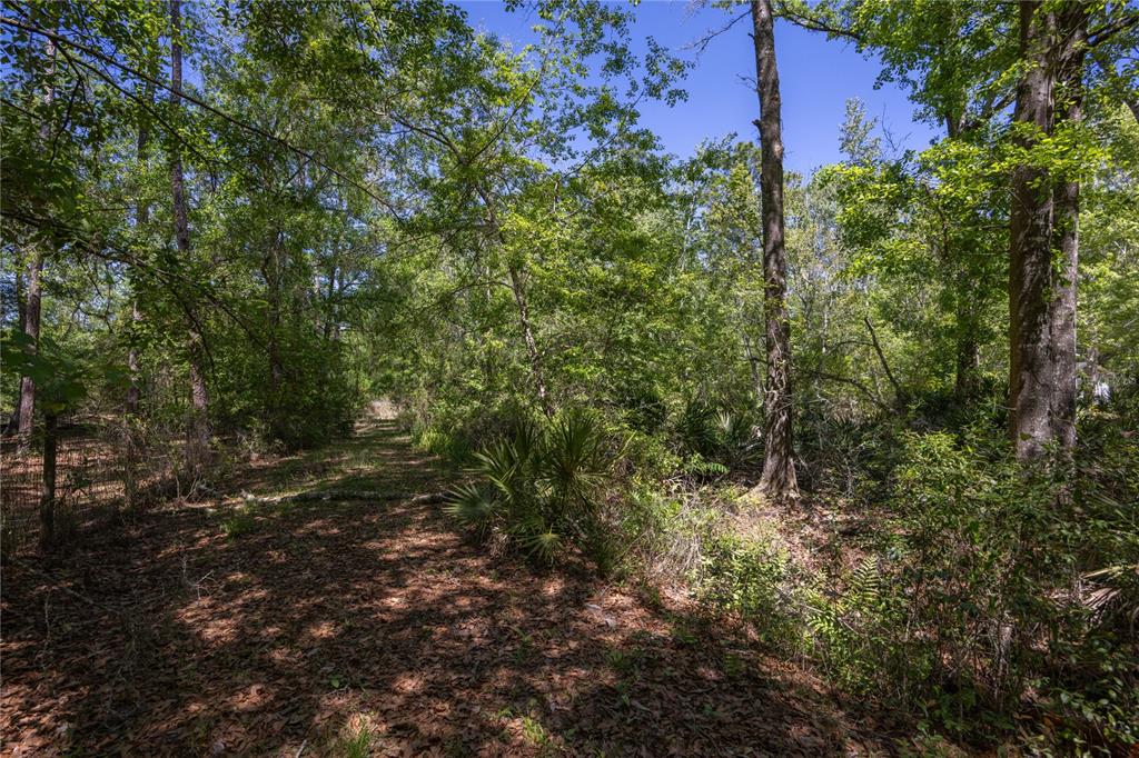 NE 108TH AVENUE, WALDO, FL — photo 2 of 11