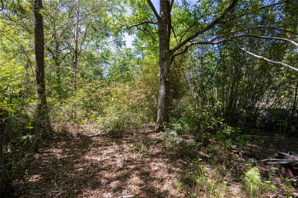 NE 108TH AVENUE, WALDO, FL — photo 4 of 11