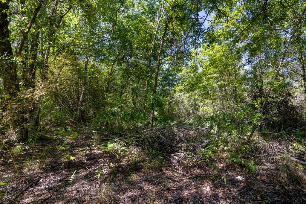 NE 108TH AVENUE, WALDO, FL — photo 5 of 11