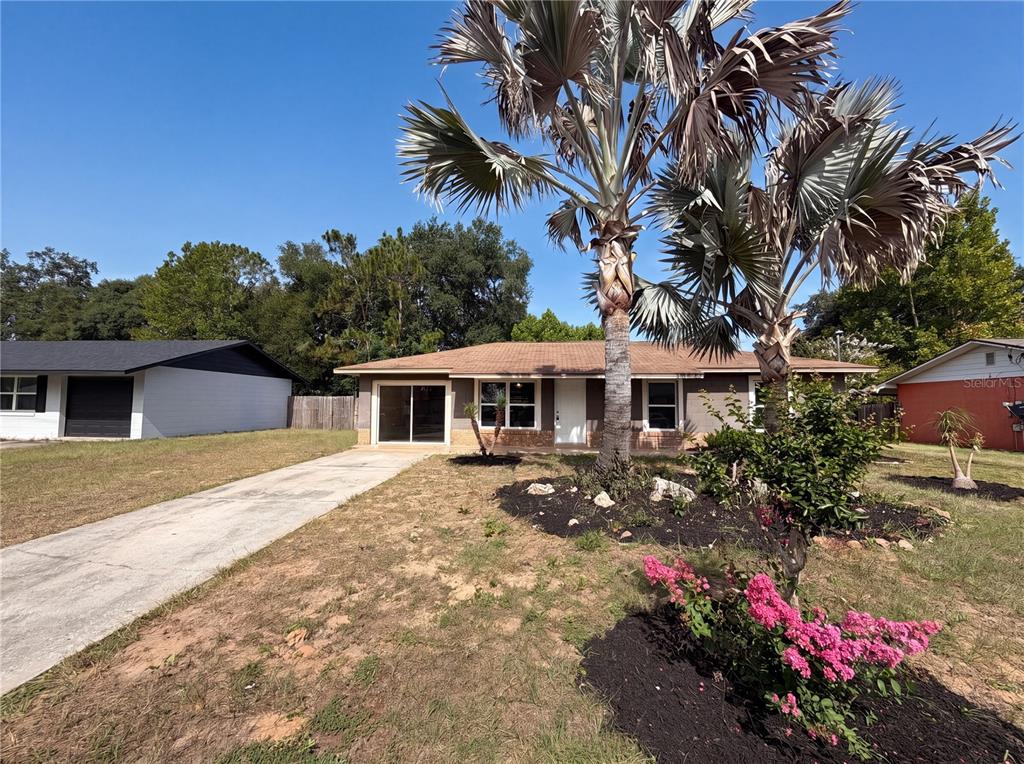 A single-story house with a concrete driveway, palm trees, and a landscaped front yard — 505 OAK DRIVE, TAVARES, FL