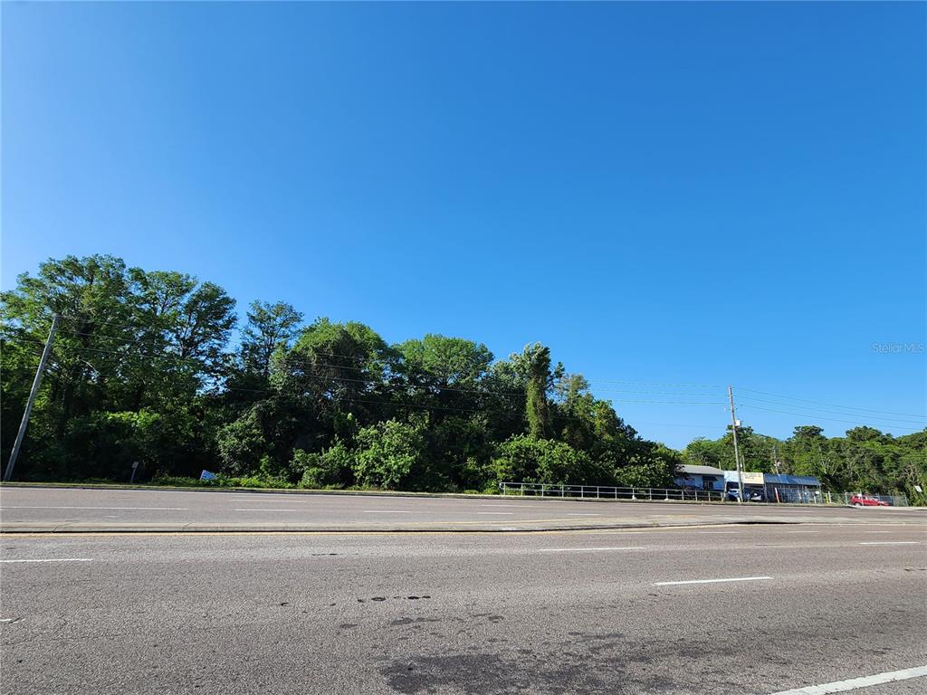 A paved road runs in front of a dense, wooded lot under a clear blue sky — SR 54, NEW PORT RICHEY, FL