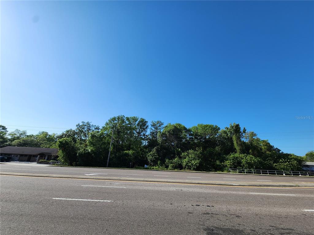 A paved road runs in front of a densely wooded lot under a clear blue sky — SR 54, NEW PORT RICHEY, FL