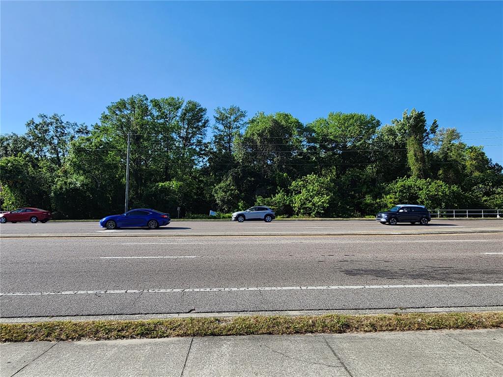A multi-lane road with three cars driving past a line of trees under a blue sky — SR 54, NEW PORT RICHEY, FL