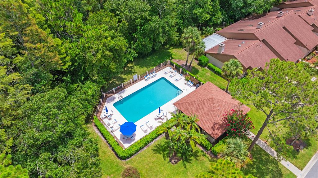 An aerial view shows a rectangular swimming pool with a gazebo and surrounding landscaping — 3350 DUNEMOOR CT, PALM HARBOR, FL