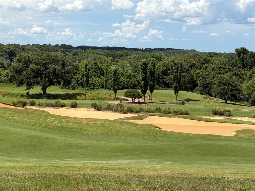 A view of a golf course featuring sand bunkers, manicured grass, and a line of trees — 15831 VETTA DRIVE, BELLA COLLINA, FL