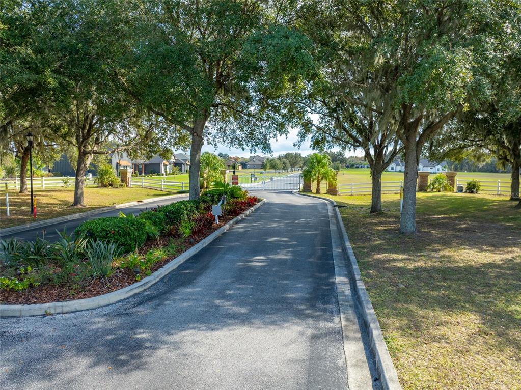 A paved driveway leads toward a gated entrance surrounded by trees and landscaping — 103 ALAFIA ESTATES LANE, PLANT CITY, FL