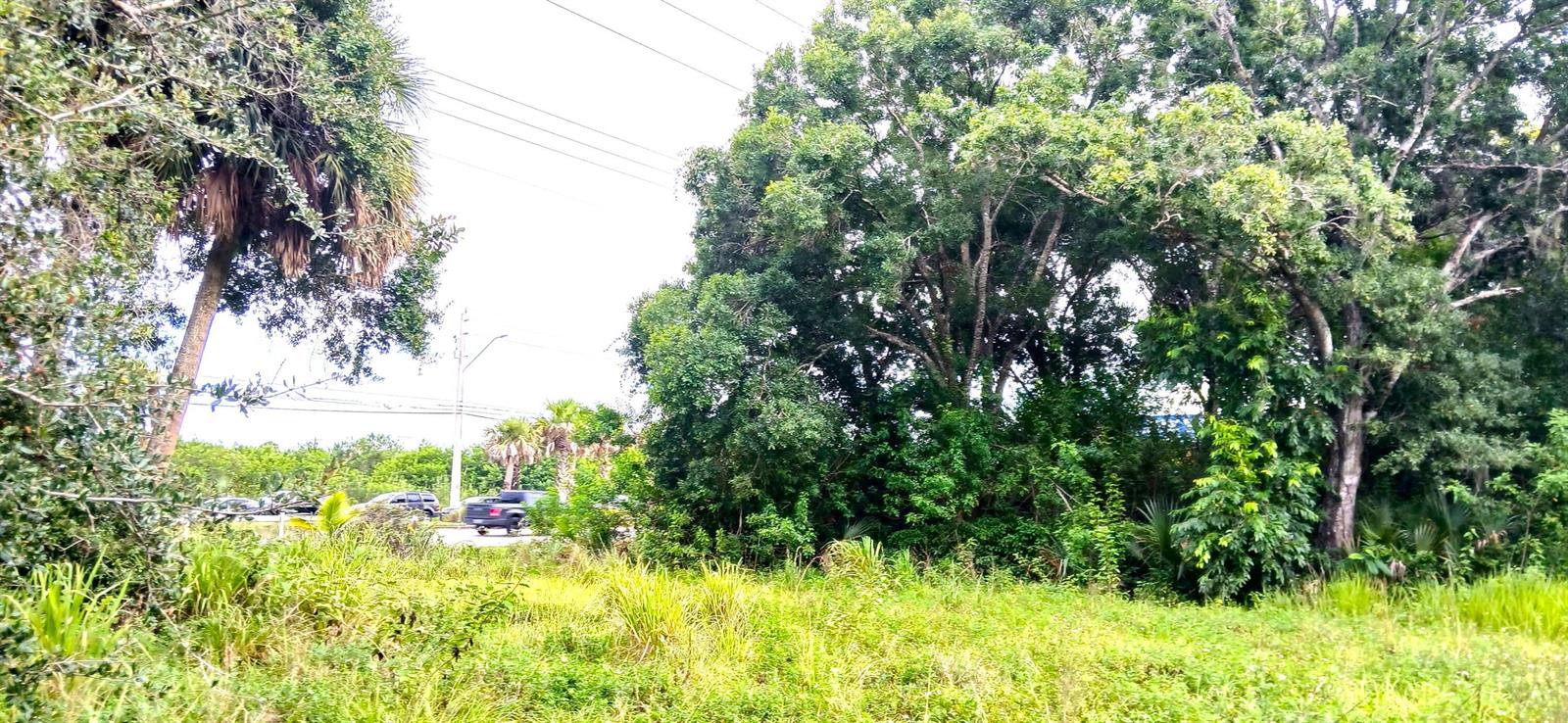 An overgrown grassy lot sits in front of a dense cluster of trees and shrubs — 0000 S Us-1, Fort Pierce FL 34982, FORT PIERCE, FL