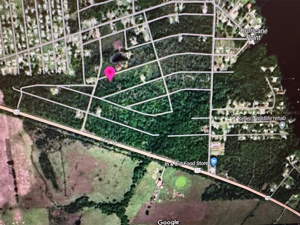 225 COLONIAL AVENUE, CRESCENT CITY, FL — photo 3 of 4
