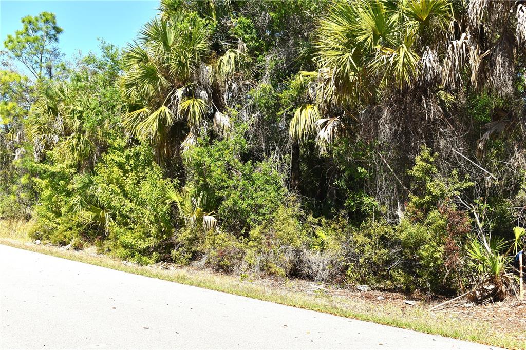 A paved road runs alongside a dense area of Florida palm trees and thick vegetation — 13358 DRUMMOND AVENUE, PORT CHARLOTTE, FL