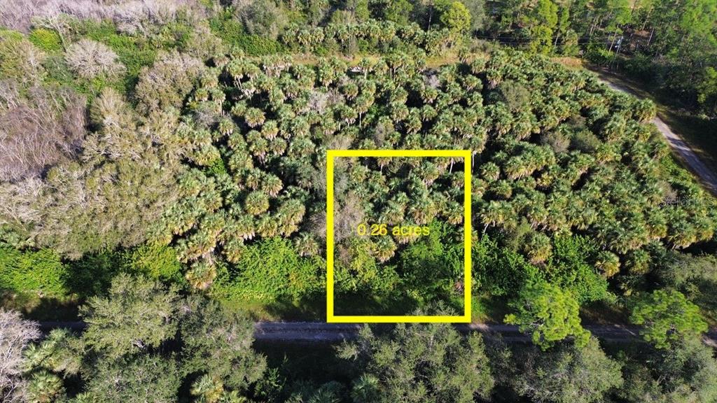 An aerial view shows a rectangular plot of land highlighted in yellow amidst dense vegetation — 1219 ROSITA STREET E, LEHIGH ACRES, FL