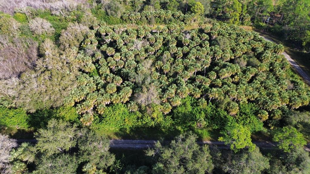 An aerial view shows a dense, wooded lot filled with palm trees and native vegetation — 1219 ROSITA STREET E, LEHIGH ACRES, FL