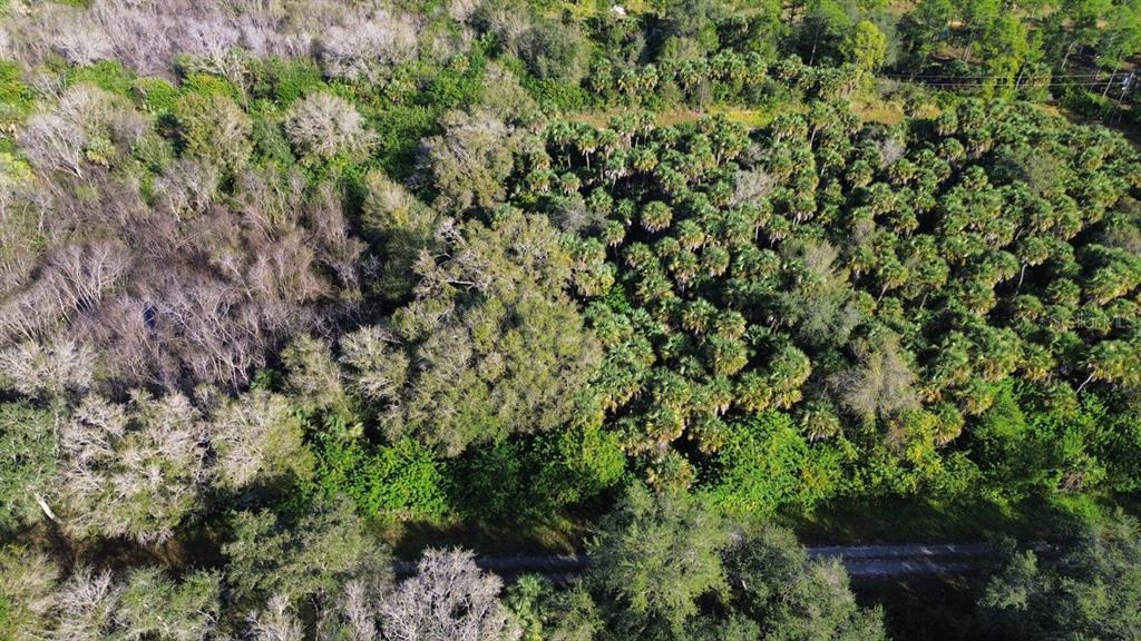 An aerial view shows a dense wooded area with palm trees and a dirt path — 1219 ROSITA STREET E, LEHIGH ACRES, FL