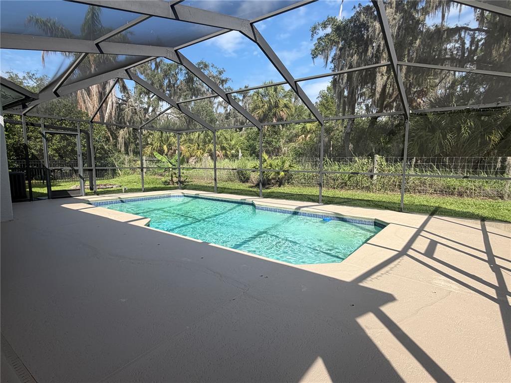 A swimming pool is enclosed by a screened lanai overlooking a wooded backyard — 14832 HERONGLEN DRIVE, LITHIA, FL