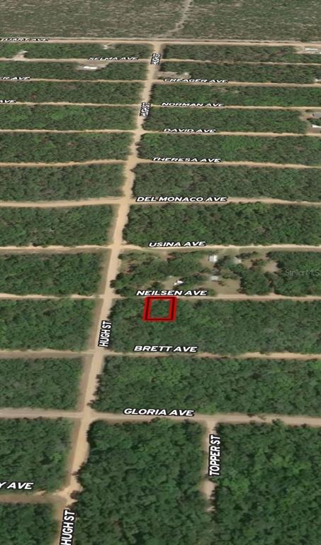 An aerial map view shows a rectangular lot outlined in red near a dirt road — LOT 35 NEILSEN AVENUE, INTERLACHEN, FL