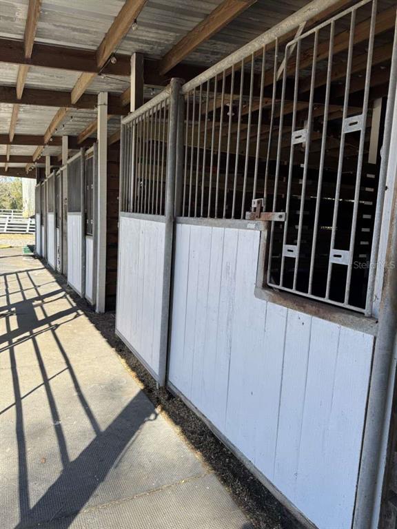 A row of horse stalls with white wooden lower panels and metal barred upper sections — 4260 NW 96TH LANE, OCALA, FL