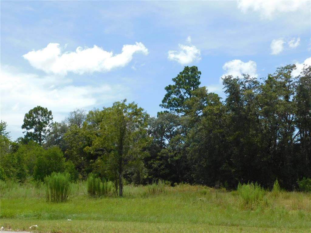 A grassy, undeveloped lot features a line of mature trees under a blue, cloudy sky — 6681 N BEDSTROW BOULEVARD, DUNNELLON, FL