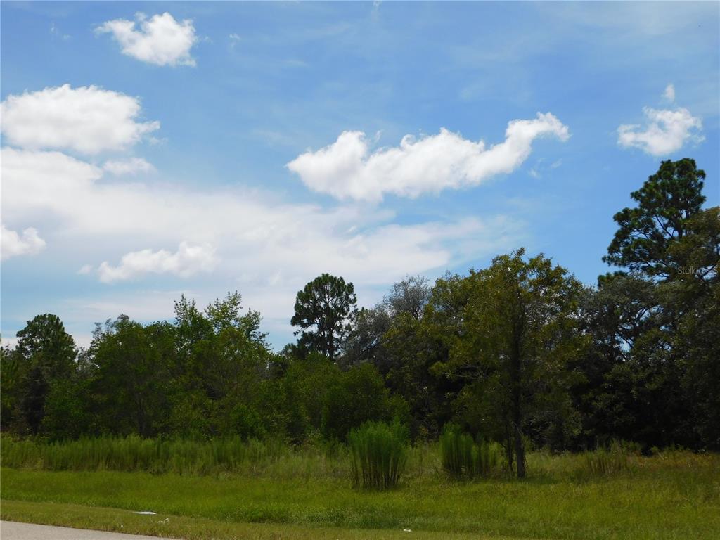 A grassy lot with trees under a blue sky with scattered white clouds — 6681 N BEDSTROW BOULEVARD, DUNNELLON, FL