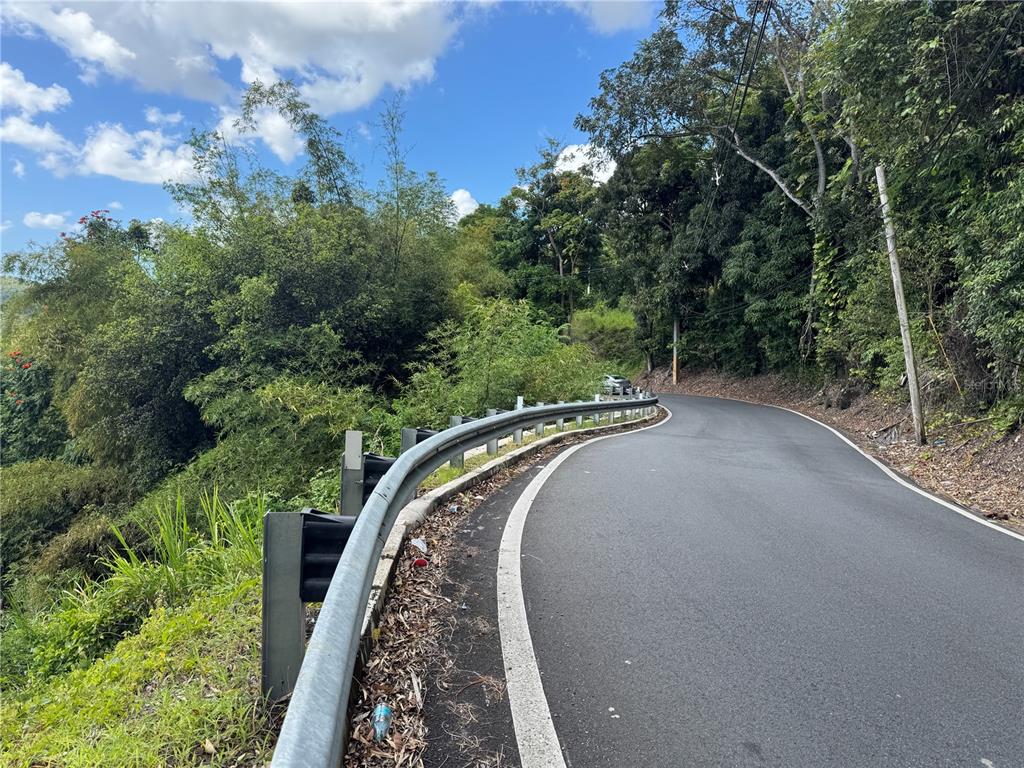 A paved road curves through a lush, forested area with a metal guardrail on the left — CARR 857 KM 6.3, CAROLINA, PR