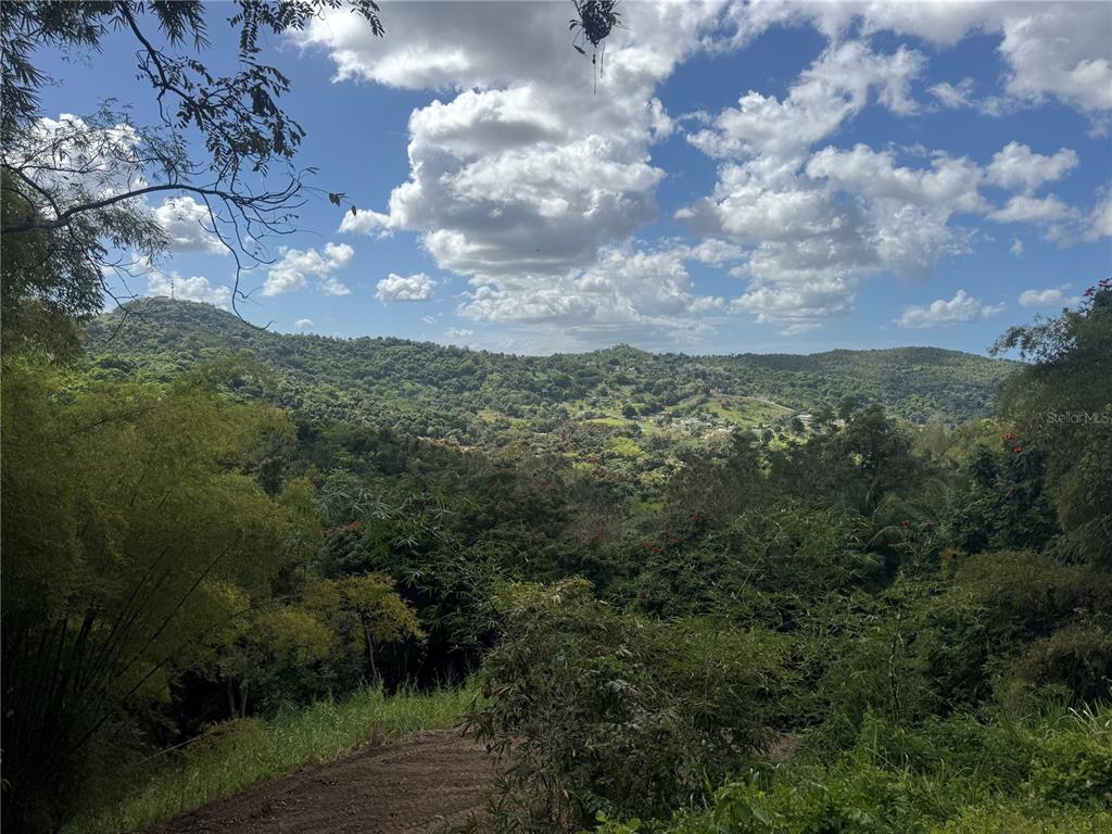A dirt path leads to a scenic view of a lush, mountainous landscape under clouds — CARR 857 KM 6.3, CAROLINA, PR