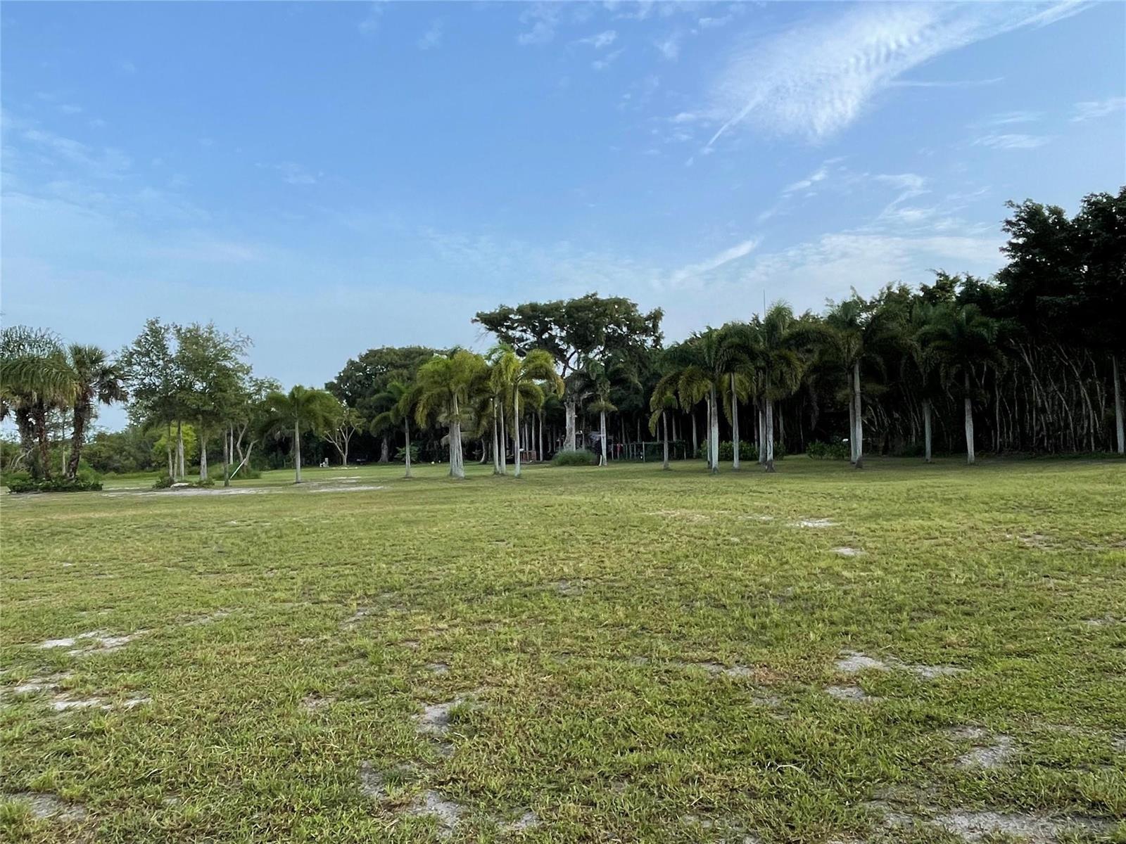 A grassy field stretches toward a line of palm trees under a blue sky — 15600 SW Conners Highway, Okeechobee FL 34974, OKEECHOBEE, FL
