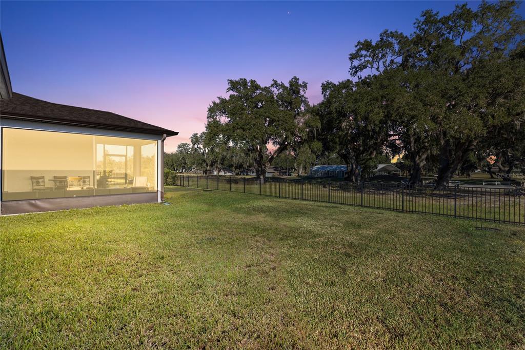 A backyard with a screened-in patio, a black metal fence, and large oak trees — 6248 BRADFORD WOODS DR, ZEPHYRHILLS, FL