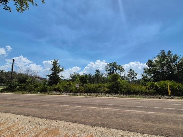 A vacant, overgrown lot sits alongside a paved road under a bright blue sky — 3040 W HASBROUCK ROAD, AVON PARK, FL