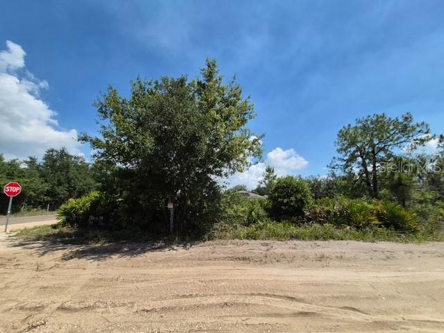 A dirt road leads to a vacant, wooded lot with a stop sign nearby — 3040 W HASBROUCK ROAD, AVON PARK, FL