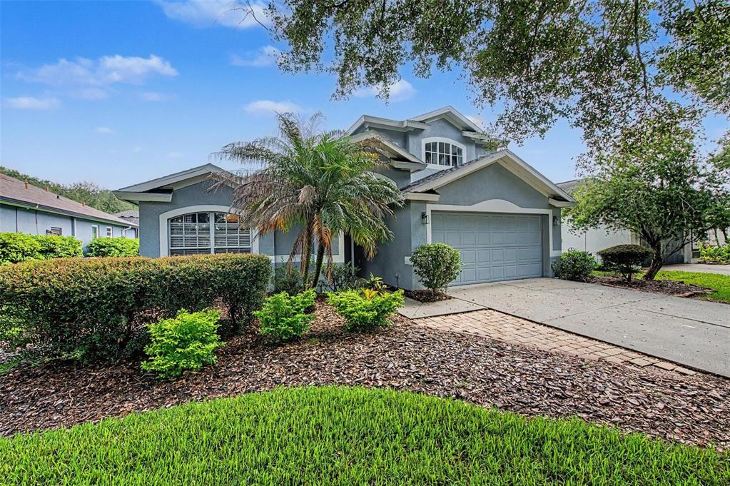 A single-story blue house with a two-car garage, a palm tree, and landscaped front yard — 5418 TWIN CREEKS DRIVE, VALRICO, FL