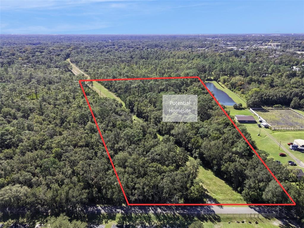 An aerial view shows a wooded lot outlined in red with a designated potential homesite — FAYE STREET, APOPKA, FL