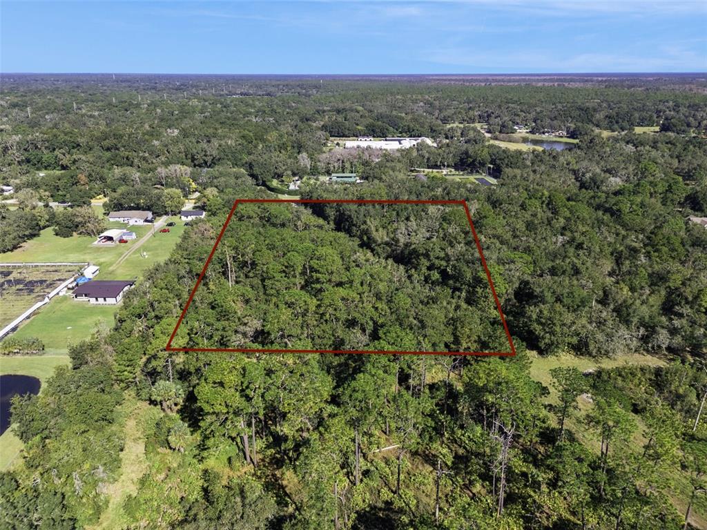 An aerial view shows a rectangular plot of land outlined in red amidst dense forest — FAYE STREET, APOPKA, FL