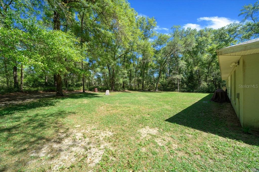 A grassy backyard area adjacent to the side of a house with surrounding mature trees — 3597 E JONAH PLACE, INVERNESS, FL