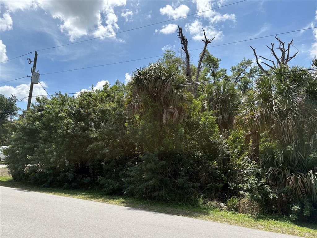 A view of a densely wooded, undeveloped lot bordering a paved road — TUCSON ROAD, NORTH PORT, FL