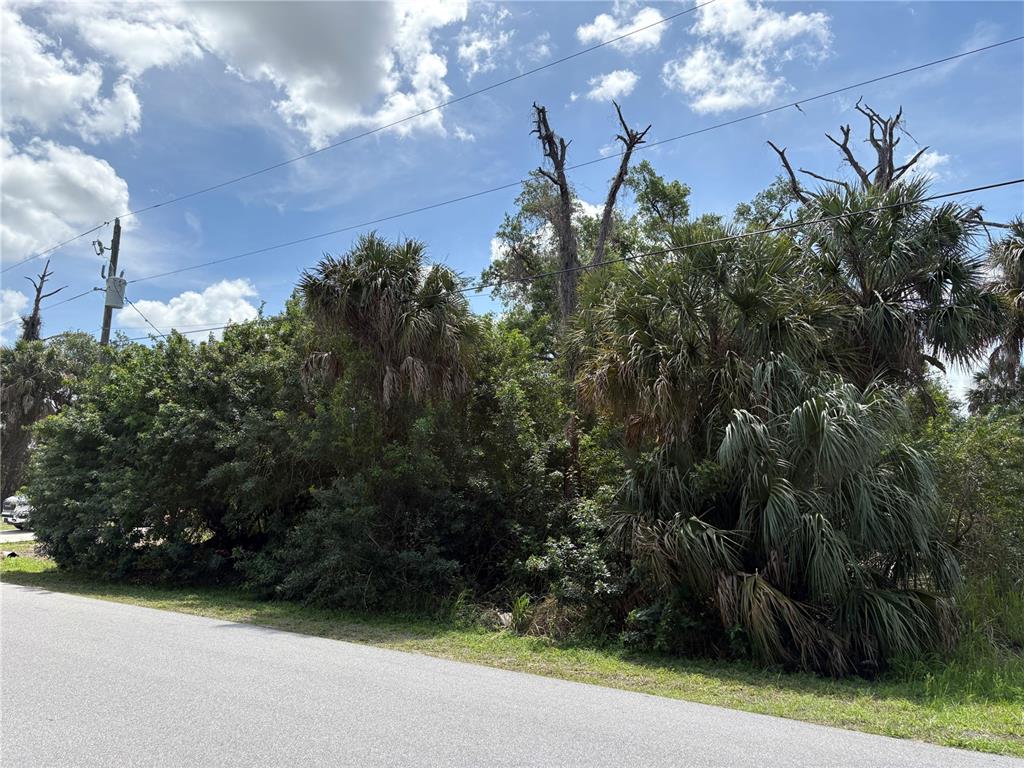 A paved road runs alongside a dense, overgrown lot with palm trees and utility lines — TUCSON ROAD, NORTH PORT, FL